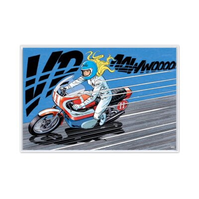 Michel Vaillant Art Strips