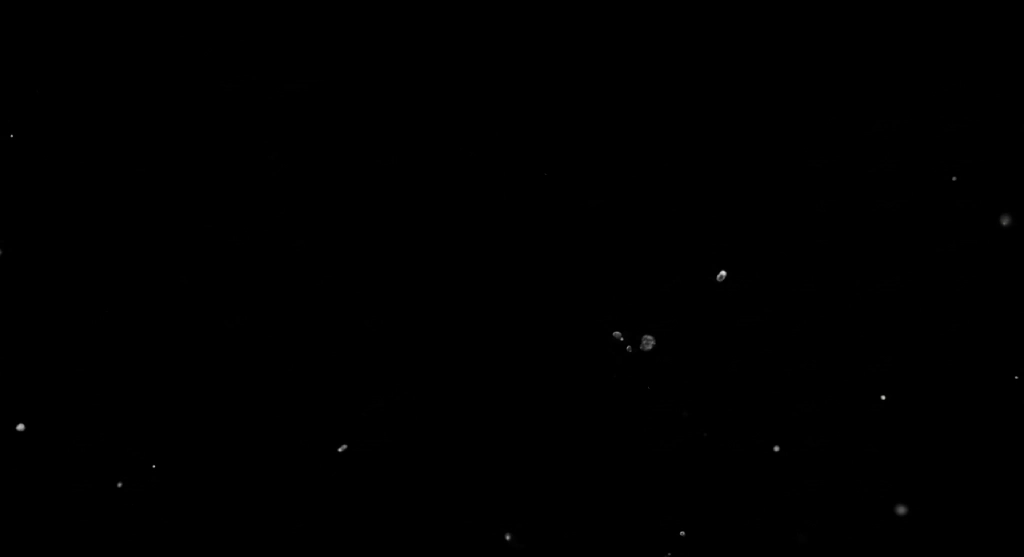 F Particles 1