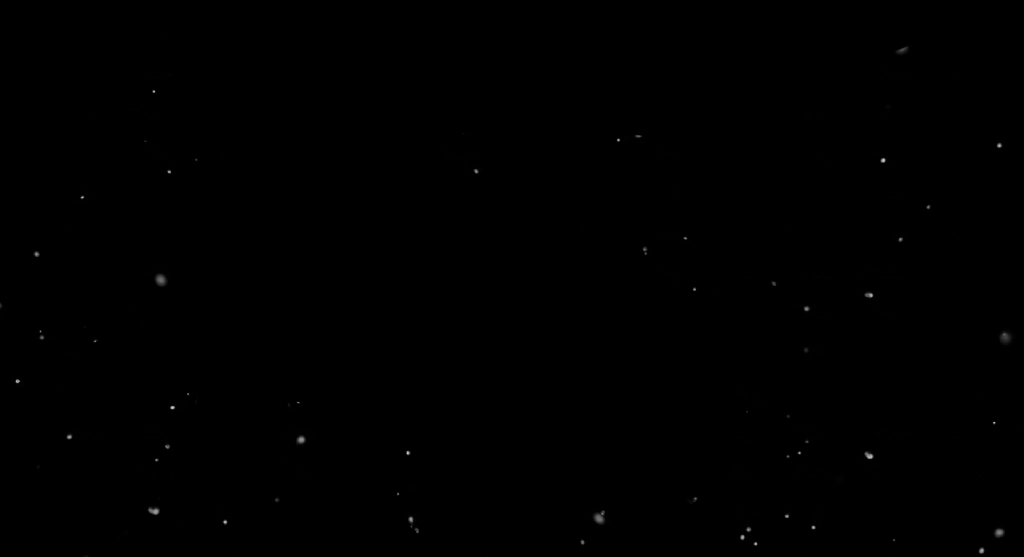 F Particles 2
